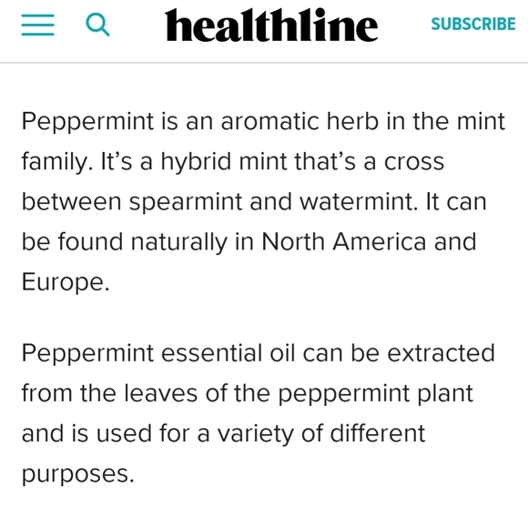 Homemade Candy Cane Bath & Body Soap - Picture 8 of 8